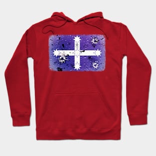 Eureka Flag Hoodie